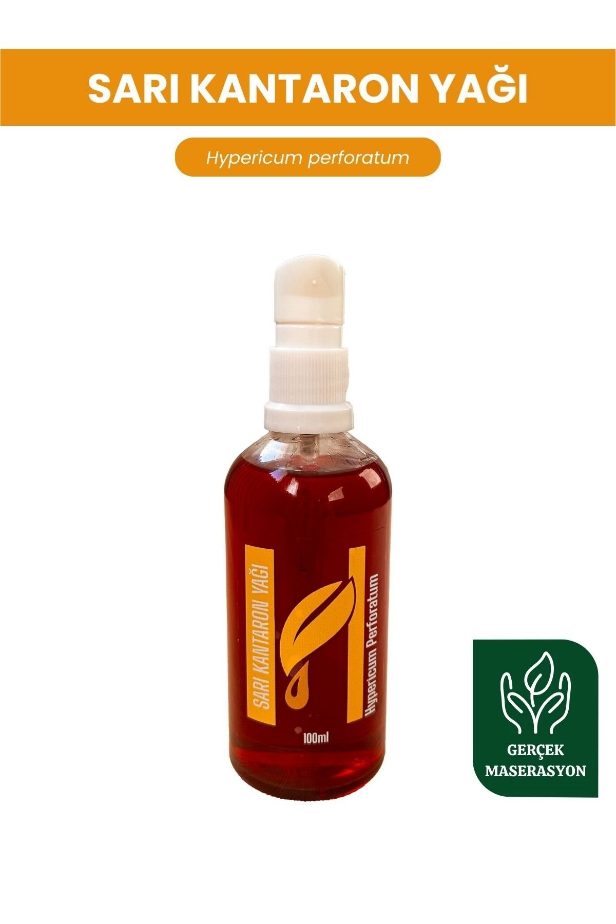 Sarı Kantaron Maserasyon Yağı 100ml